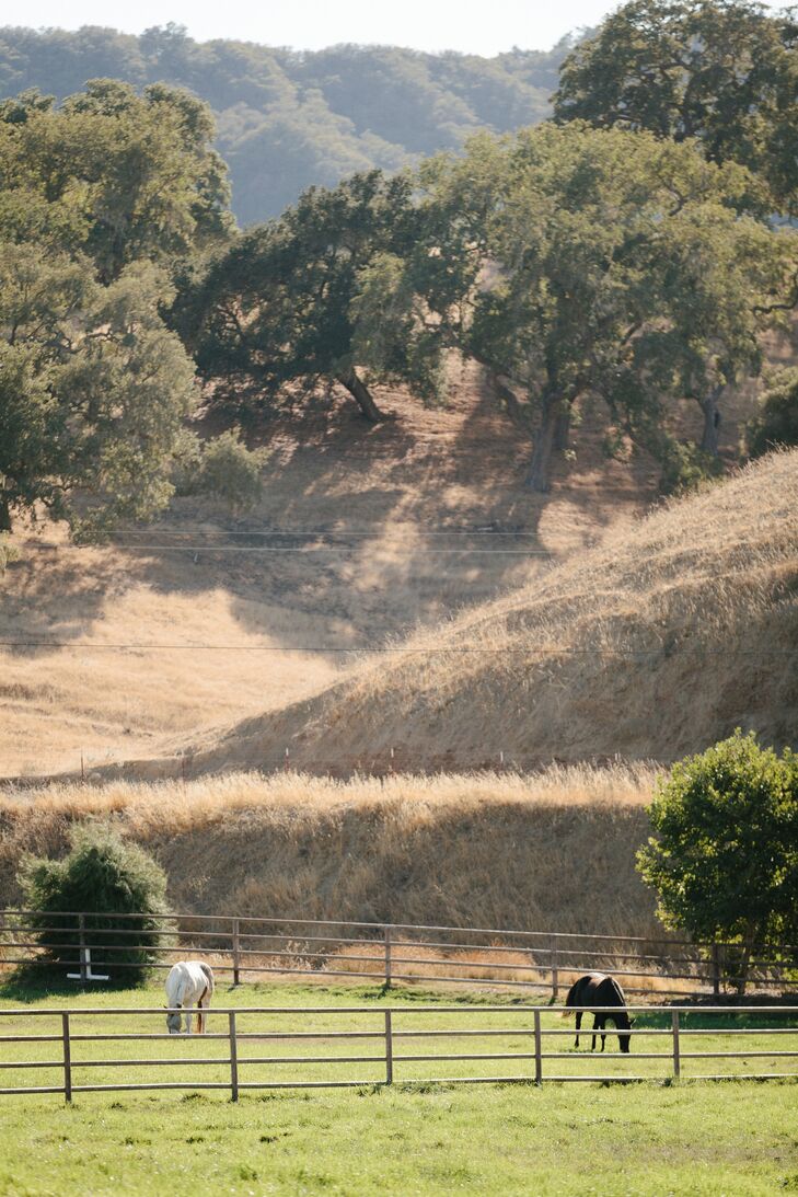 Alisal Guest Ranch and Resort