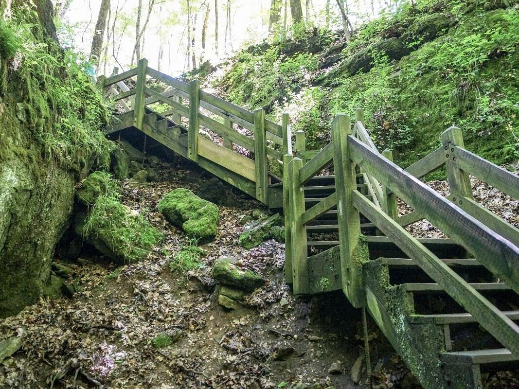 Picture of Rock Bridge Memorial State Park