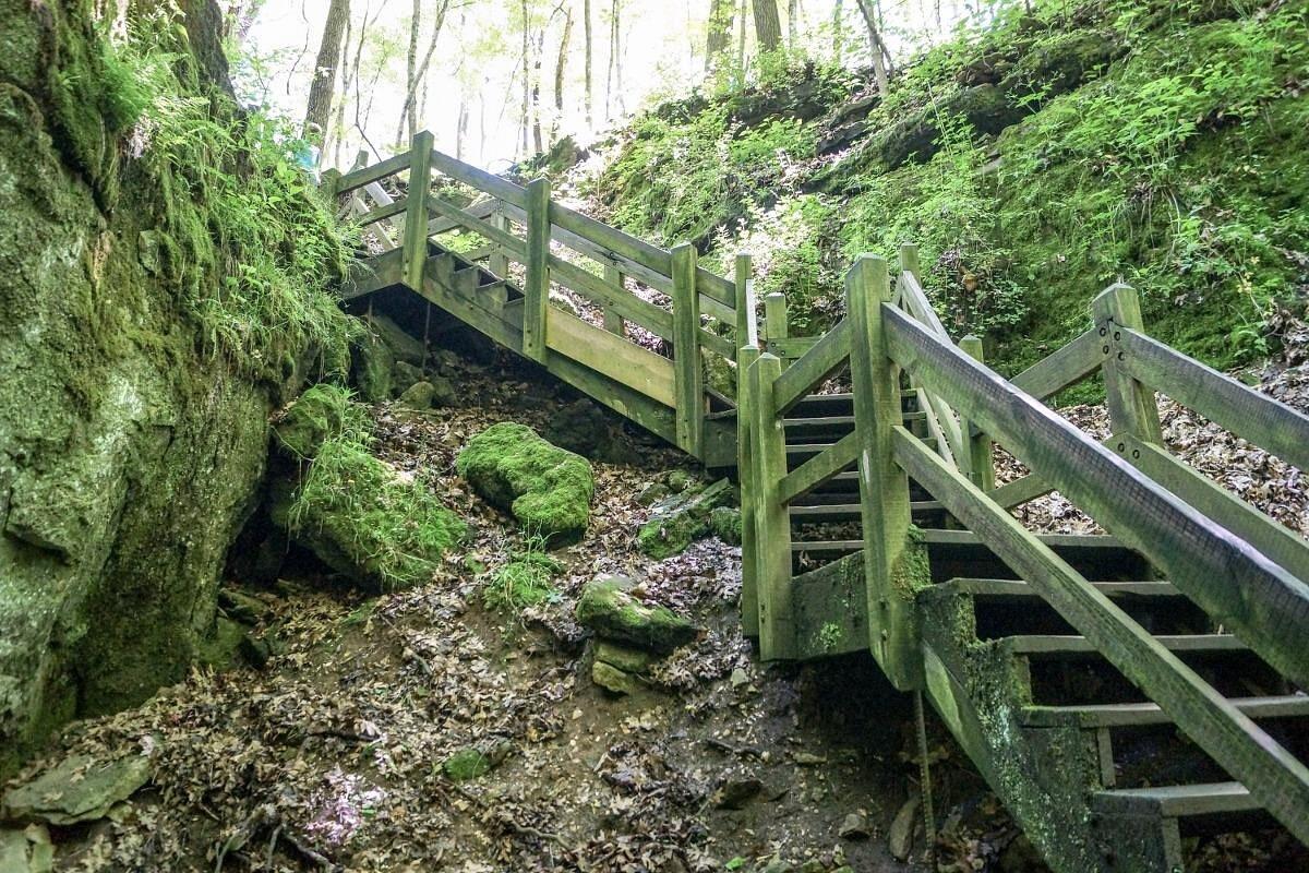 Picture of Rock Bridge Memorial State Park