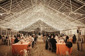 String Lights in Greenhouse Reception at Dos Pueblos Orchid Farm