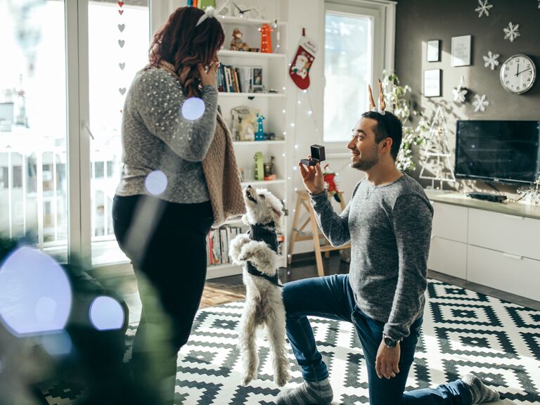 Man proposing to girlfriend with dog on christmas day