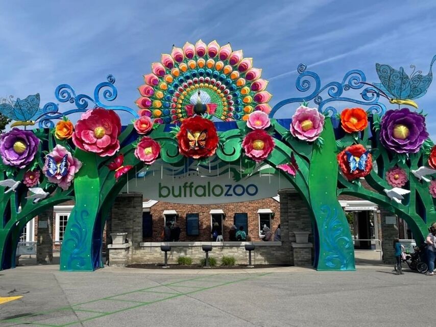 Picture of The Buffalo Zoo