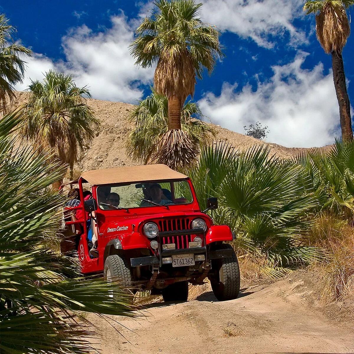Picture of Red Jeep Tours | Desert Adventures