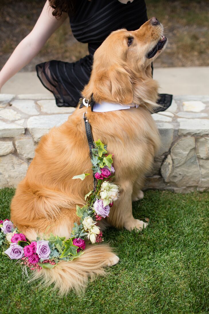 Laura's family's golden retriever donned a black bow tie collar and a flower garland when he served as the ring bearer.