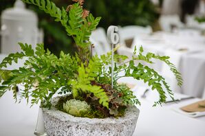 Moss, Succulent and Fern Centerpieces in Stone Vase