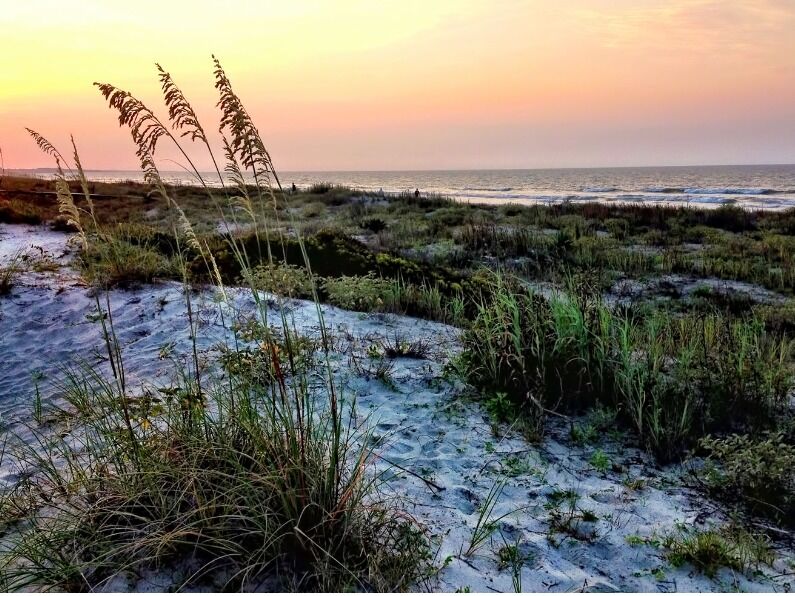 Picture of Kiawah Beachwalker Park