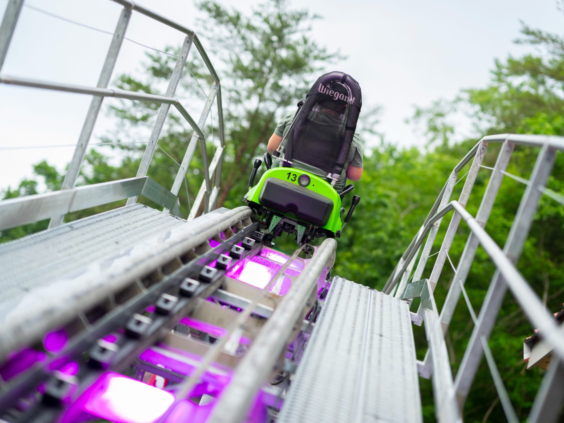 Picture of Moonshine Mountain Coaster