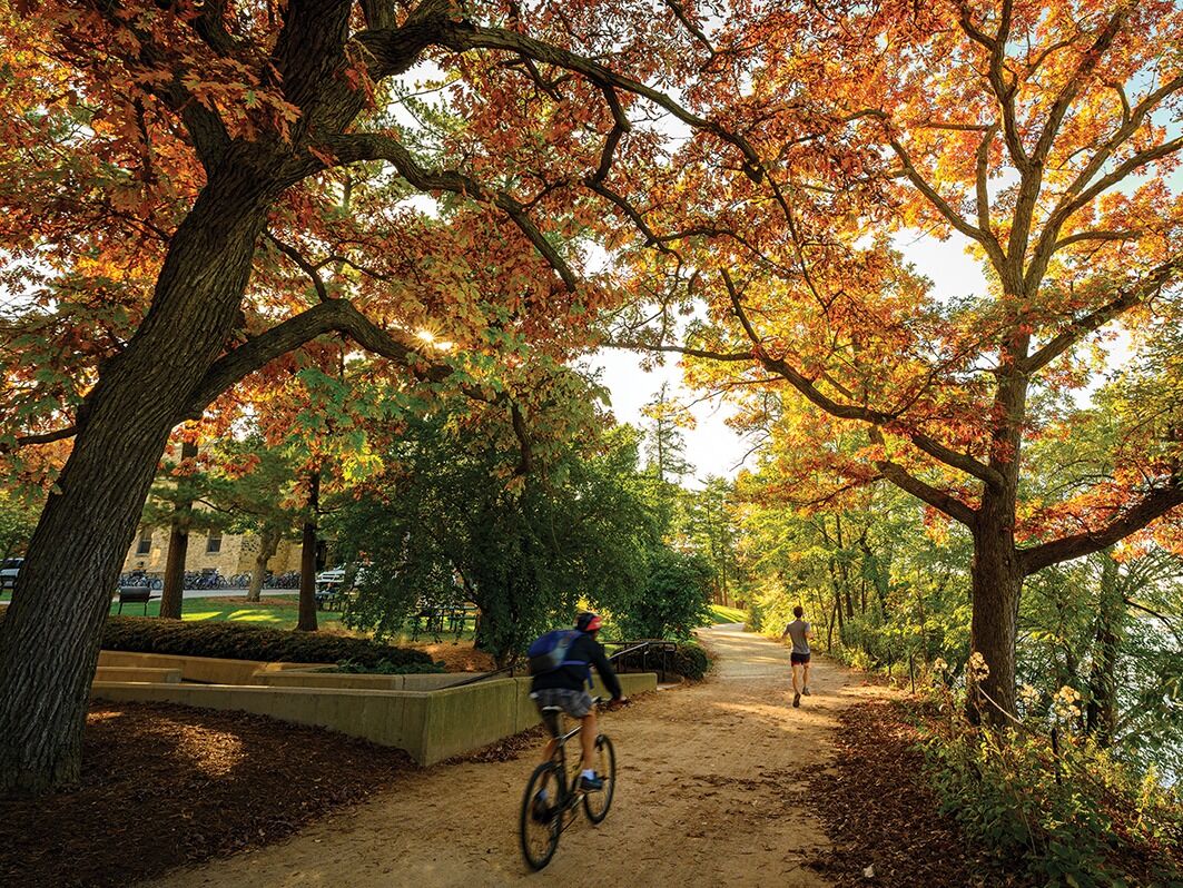 Picture of Lakeshore Path