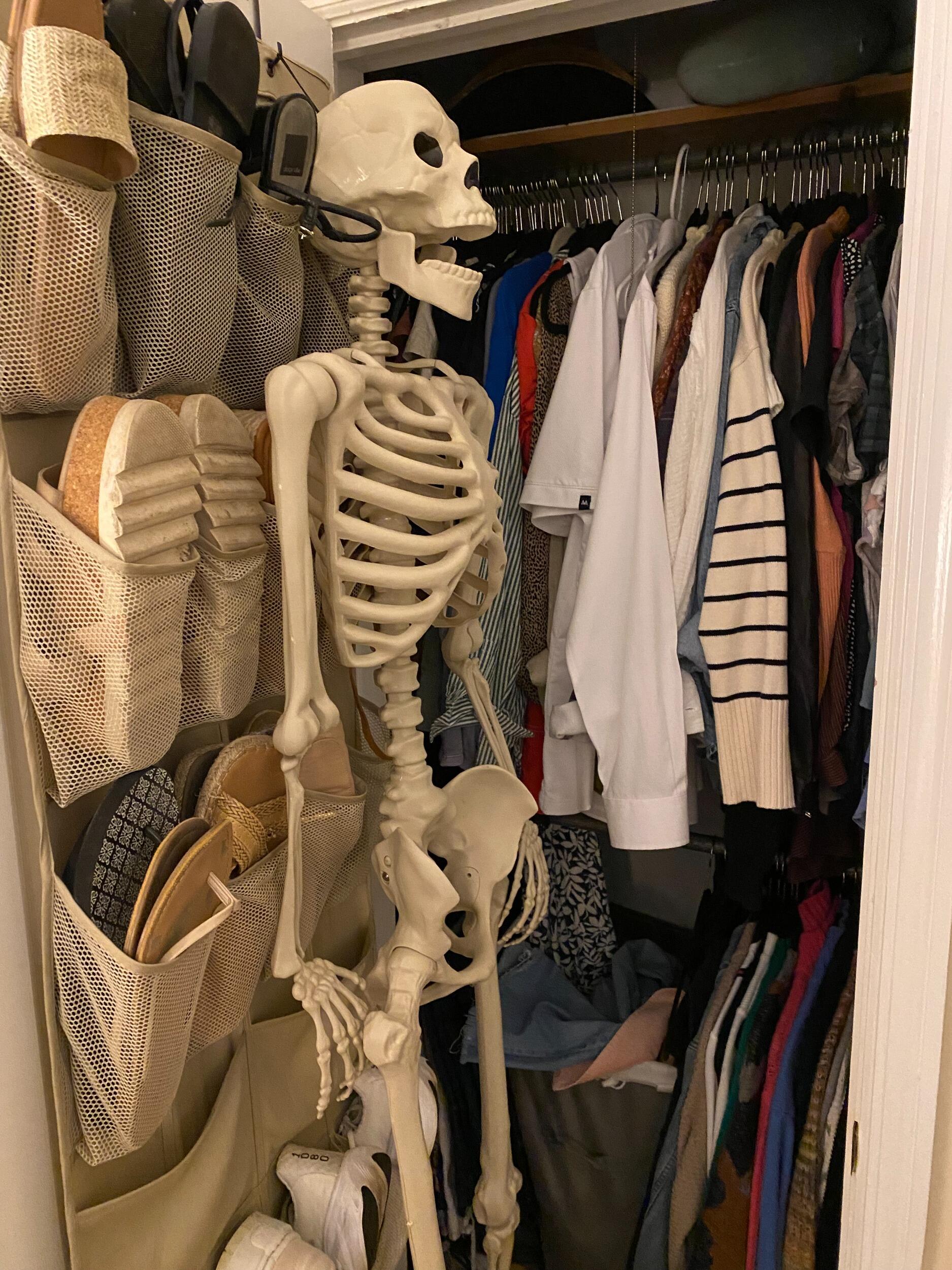 Found some skeletons in the closet...