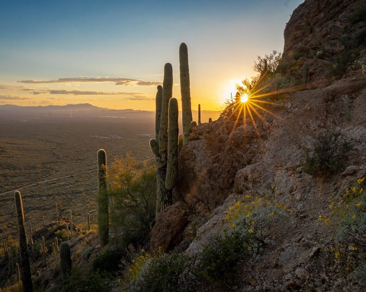 Picture of Take A HIKE!