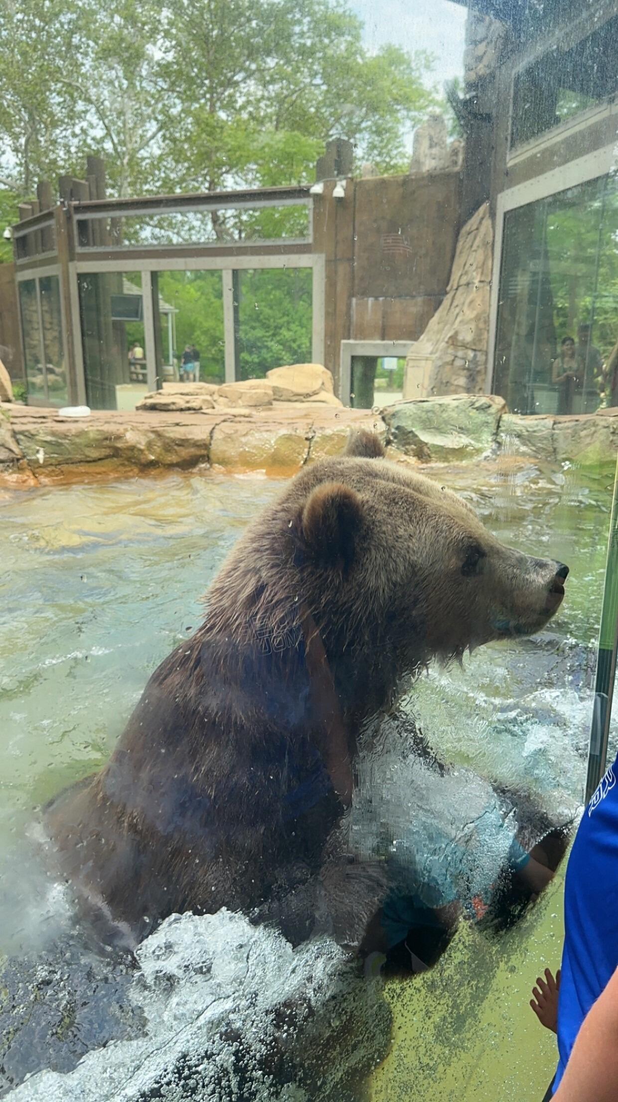 Picture of Saint Louis Zoo