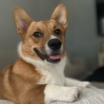 Winston 
