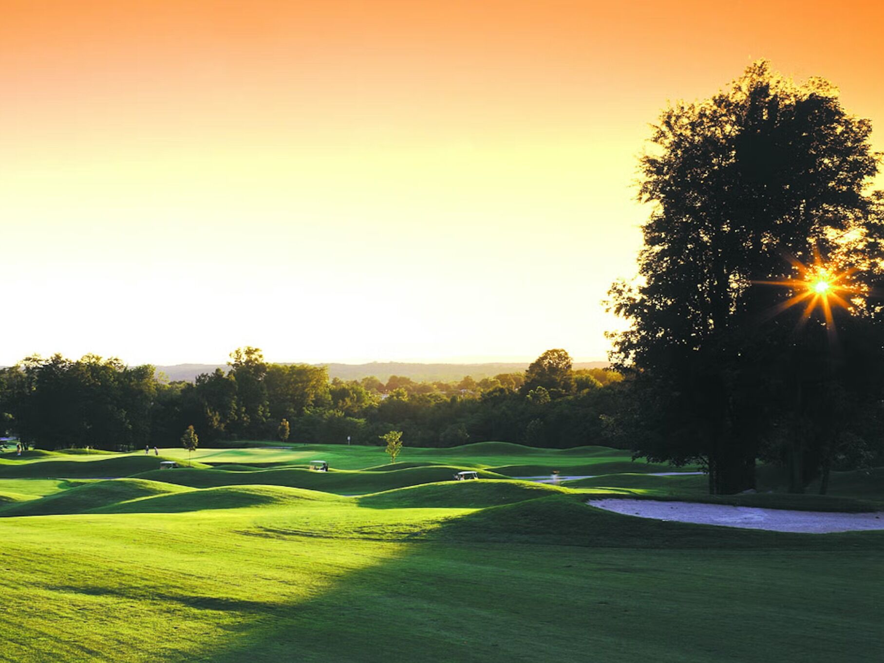 Picture of Black Bear Golf Club
