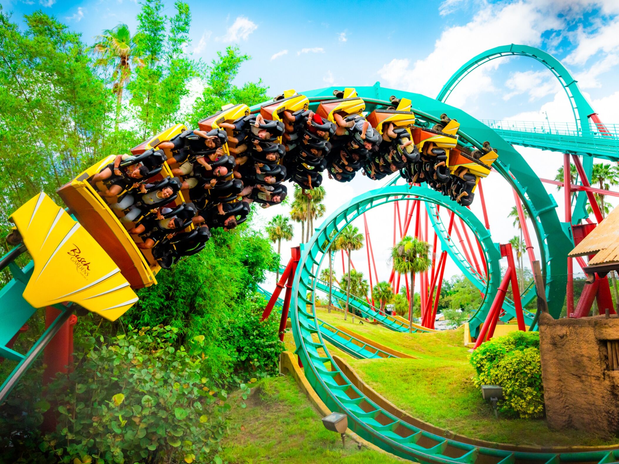 Picture of Busch Gardens Tampa Bay