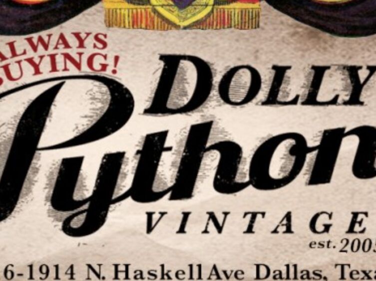 Picture of Dolly Python
