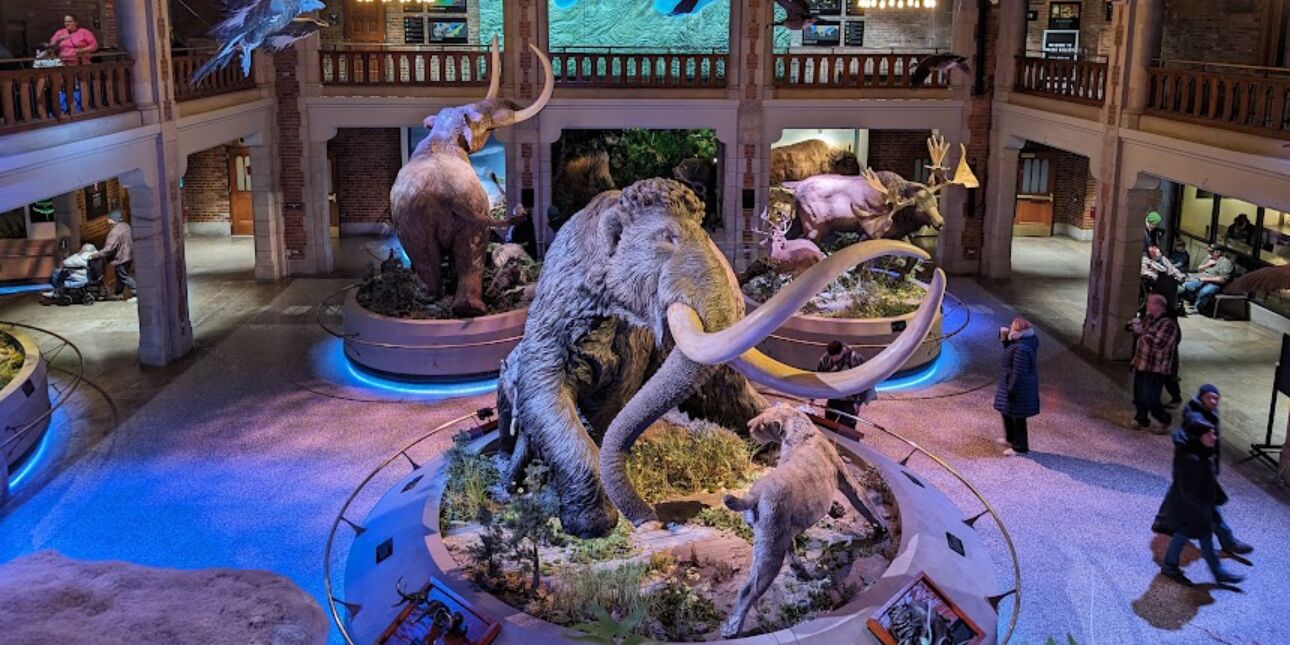 Picture of Toledo Zoo