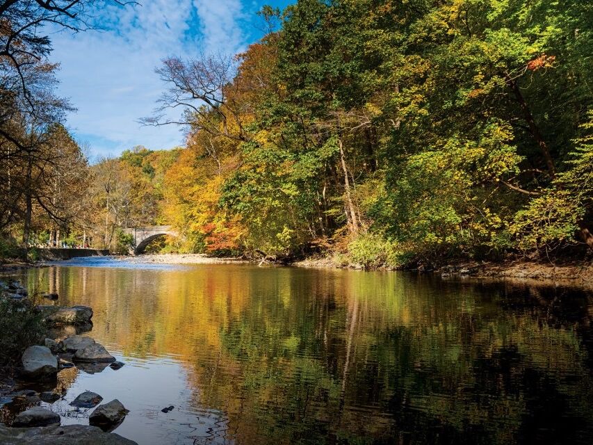 Picture of Wissahickon Valley Park