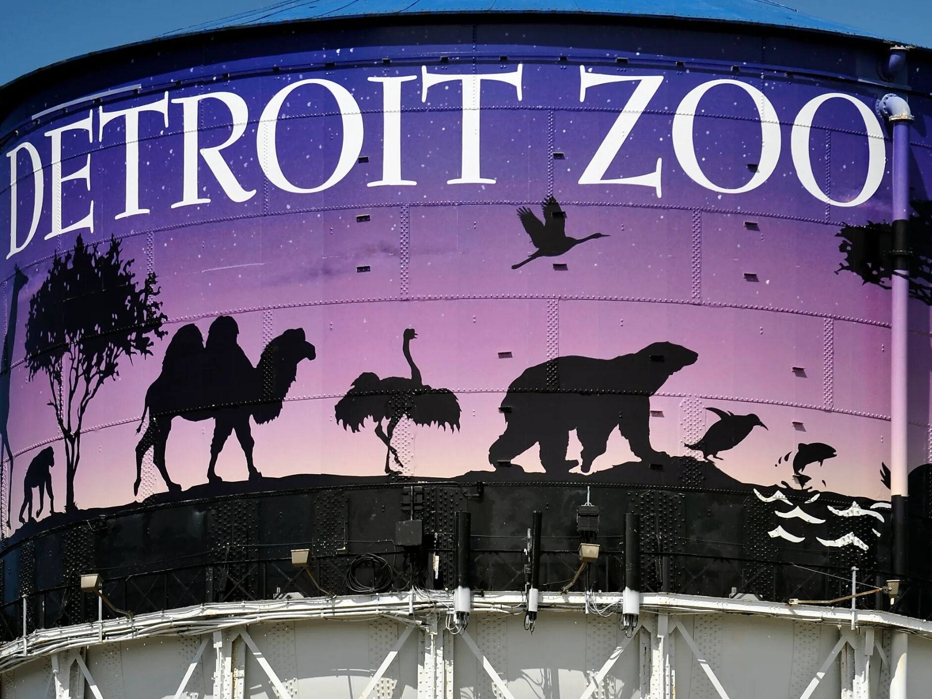 Picture of Detroit Zoo