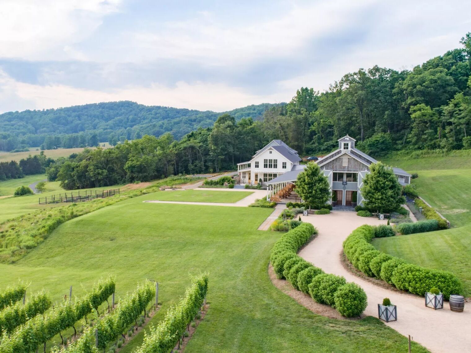 Picture of Pippin Hill Farm & Vineyards