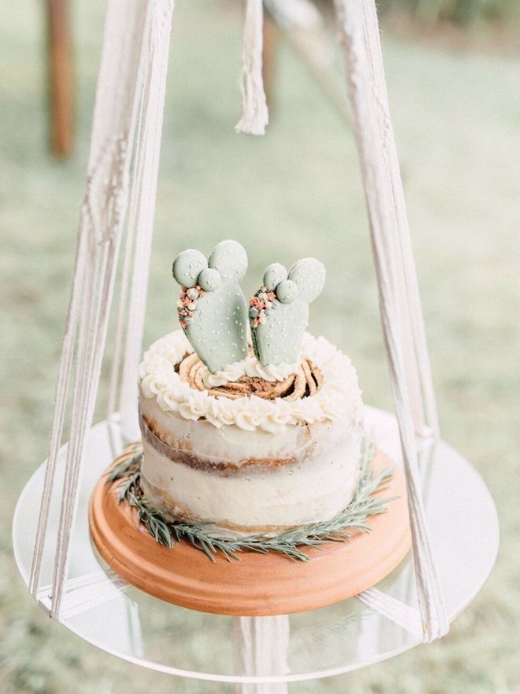 single-tier cake with cactus cake topper on cake swing