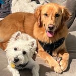 Charlie and Wallace