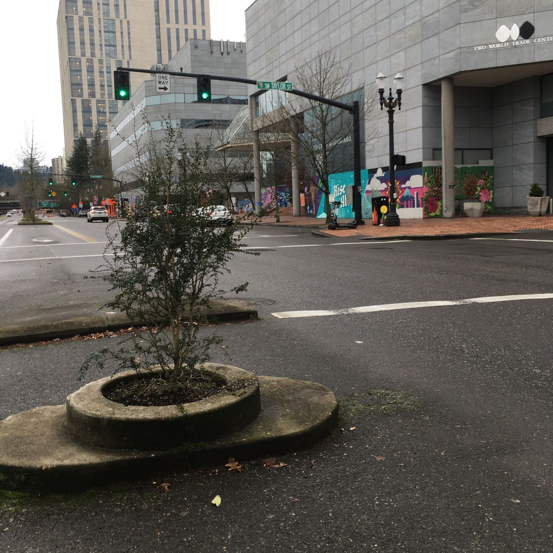 Picture of Mill Ends Park - Worlds Smallest Park