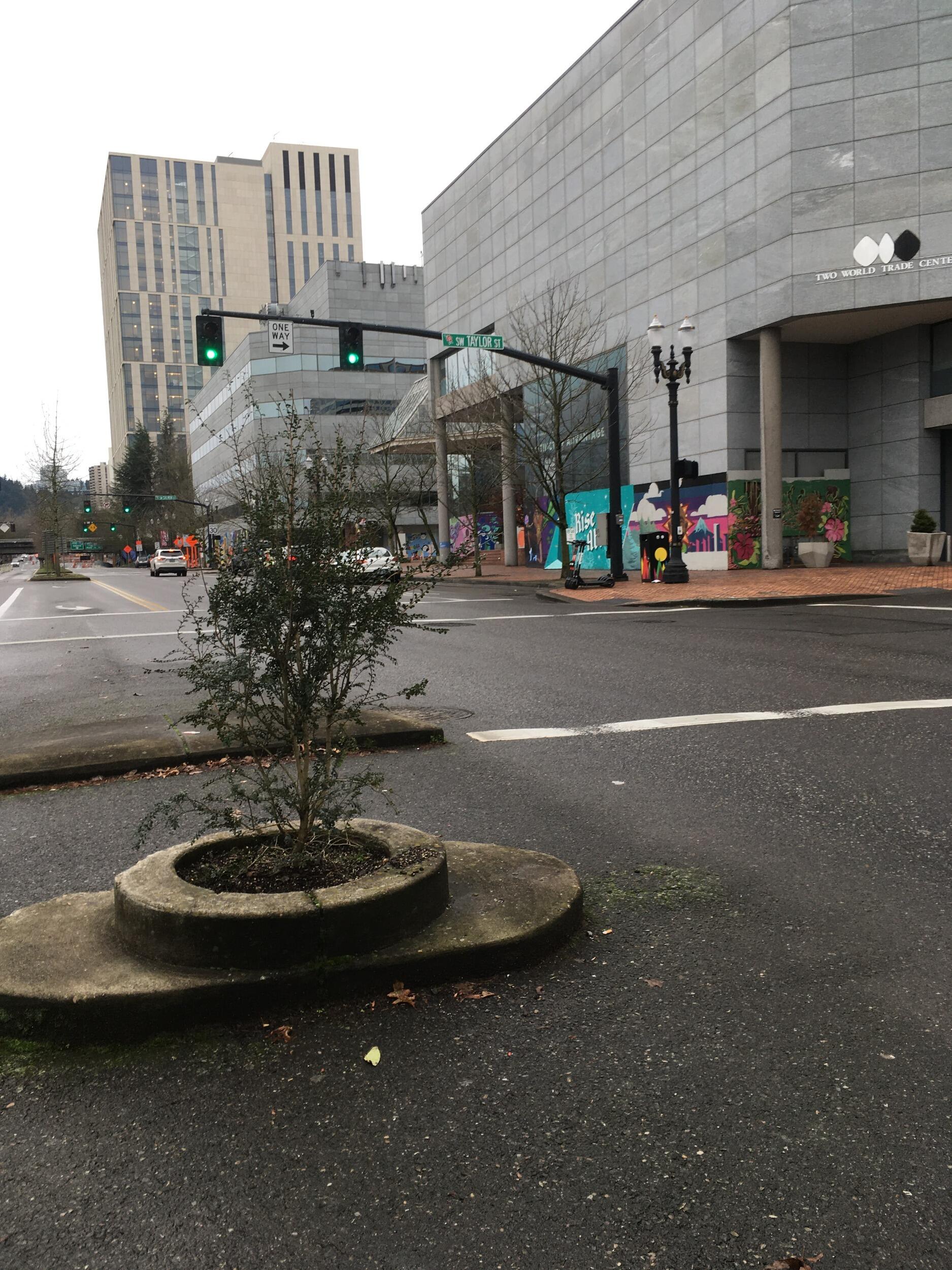 Picture of Mill Ends Park - Worlds Smallest Park