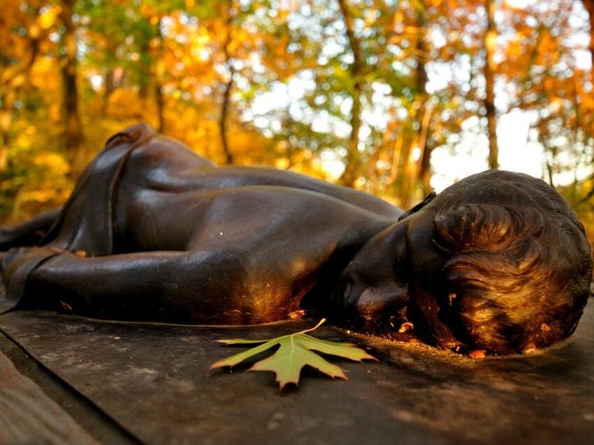 Picture of Oaken Transformations Sculpture & Poetry Walk