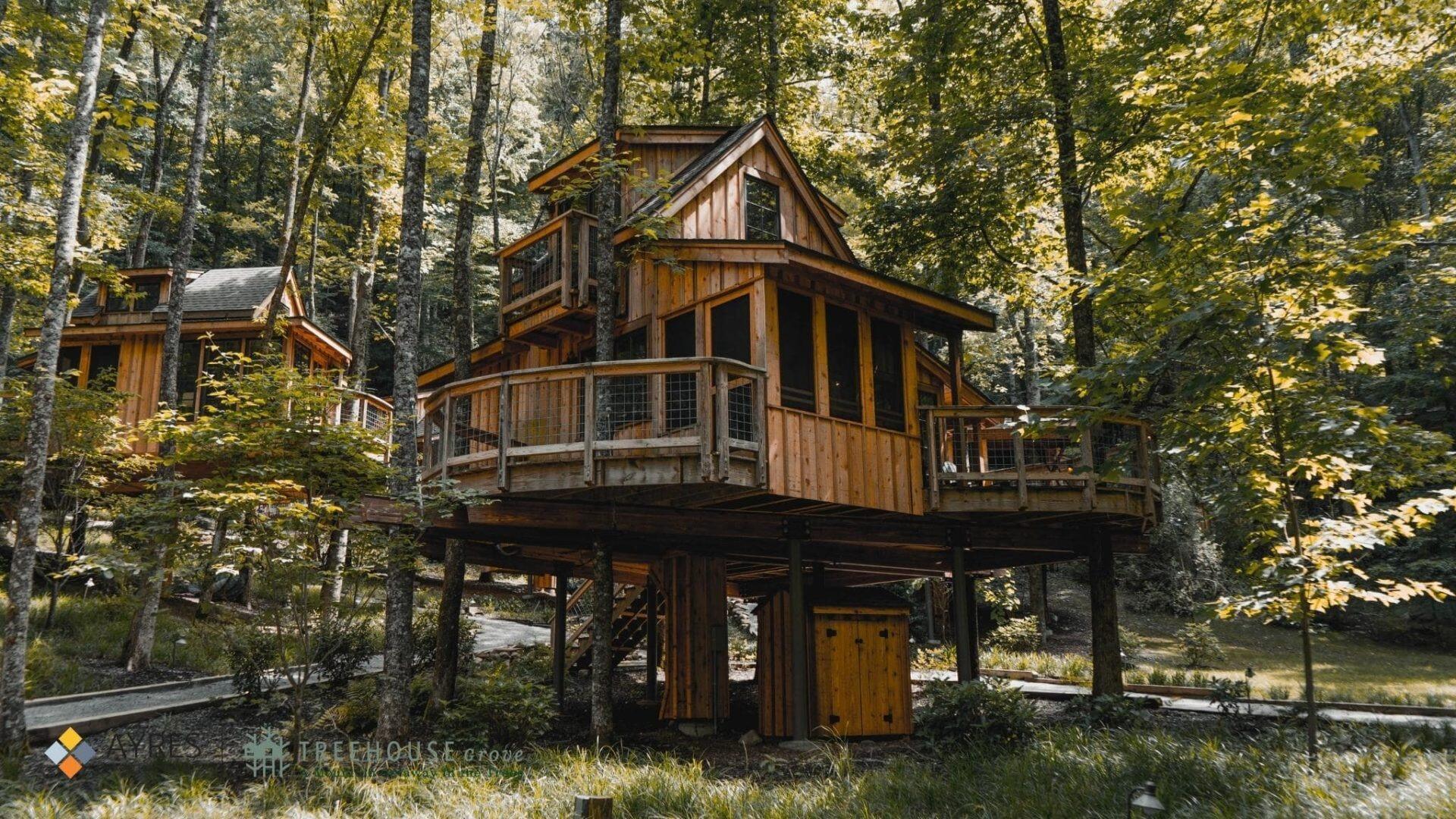 Picture of Treehouse Grove At Norton Creek Resort