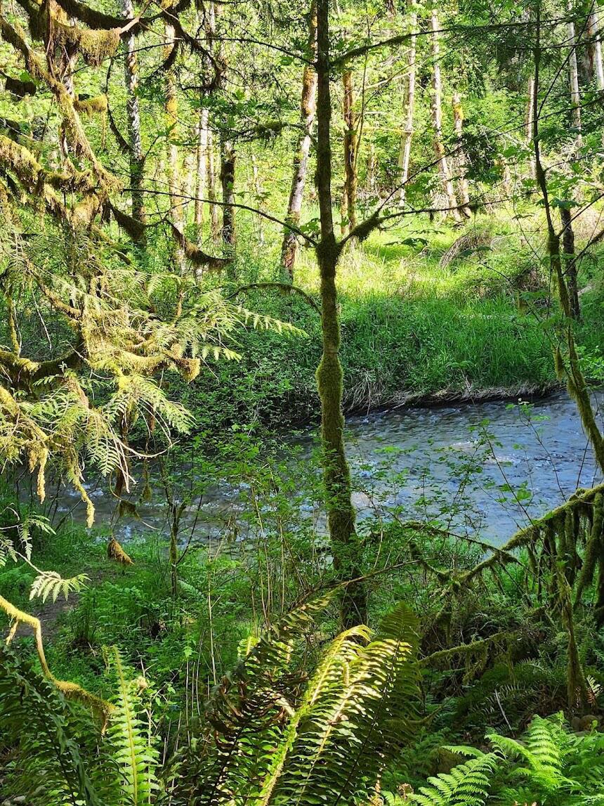 Picture of Sandy River Park