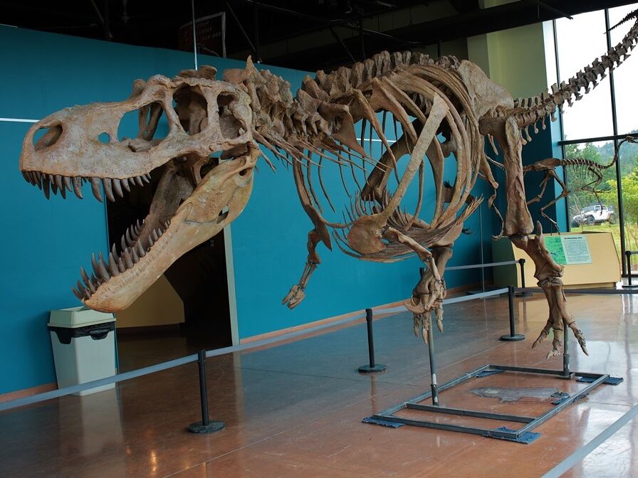 Picture of Rocky Mountain Dinosaur Resource Center
