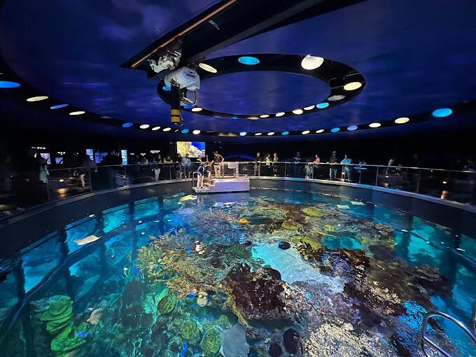 Picture of New England Aquarium