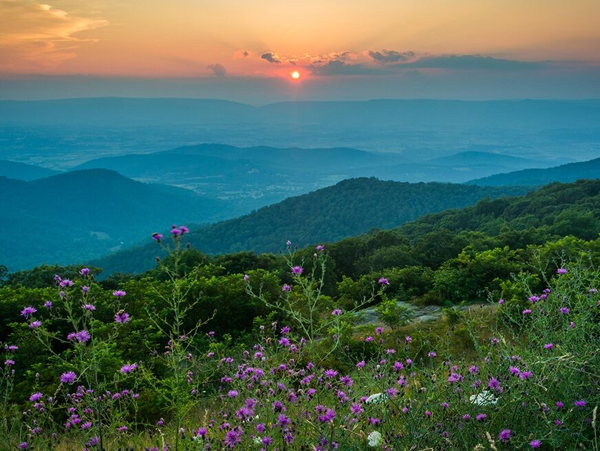 Picture of Shenandoah National Park