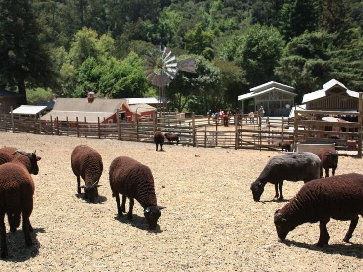 Picture of 2. Tilden Little Farm