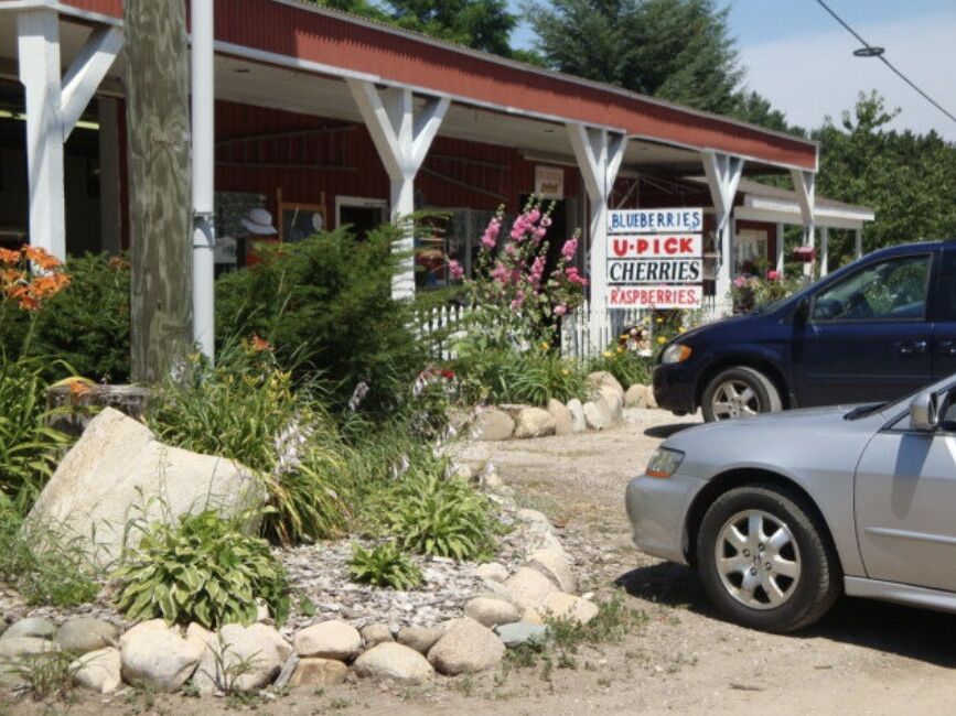 Picture of King Orchards