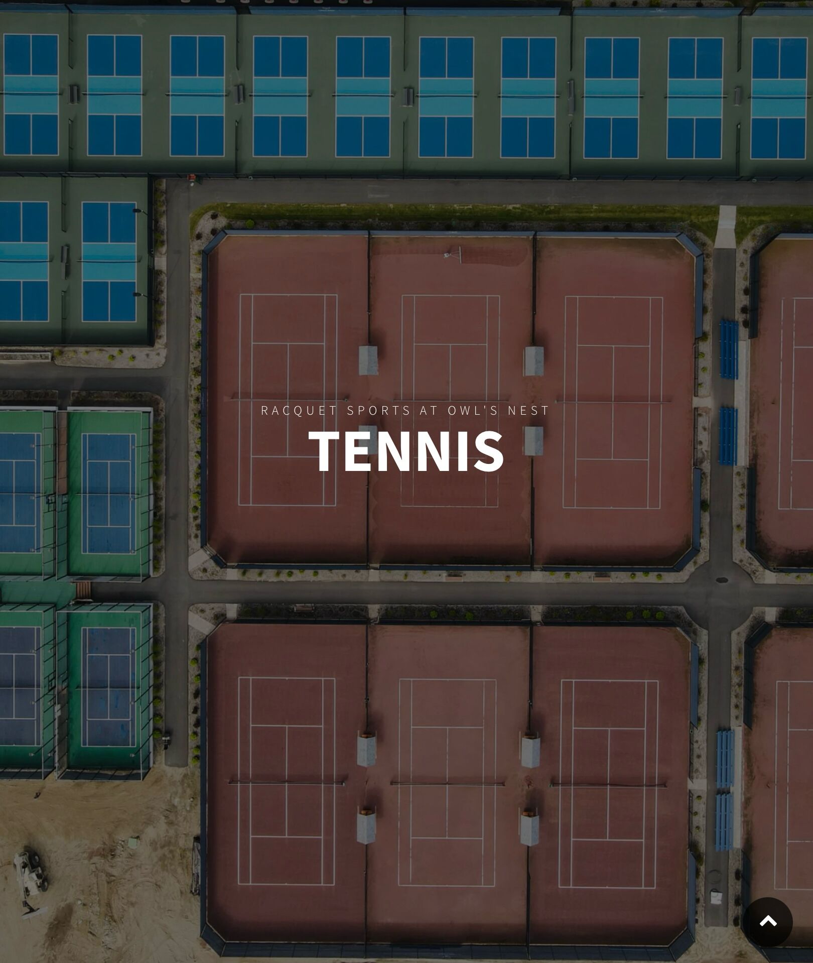 Picture of Tennis