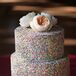 Rainbow Sprinkle-Covered Wedding Cake