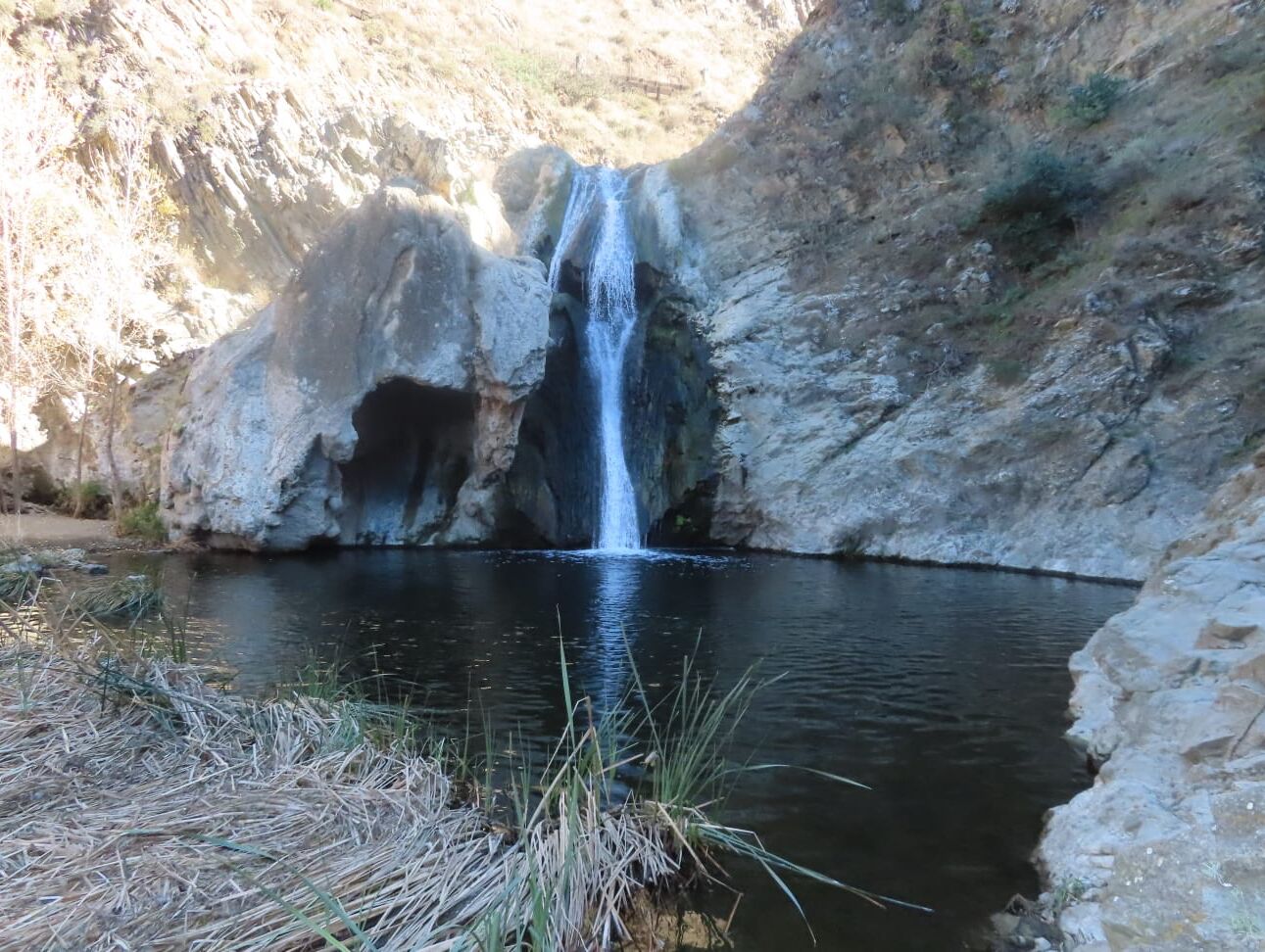 Picture of Wildwood Regional Park