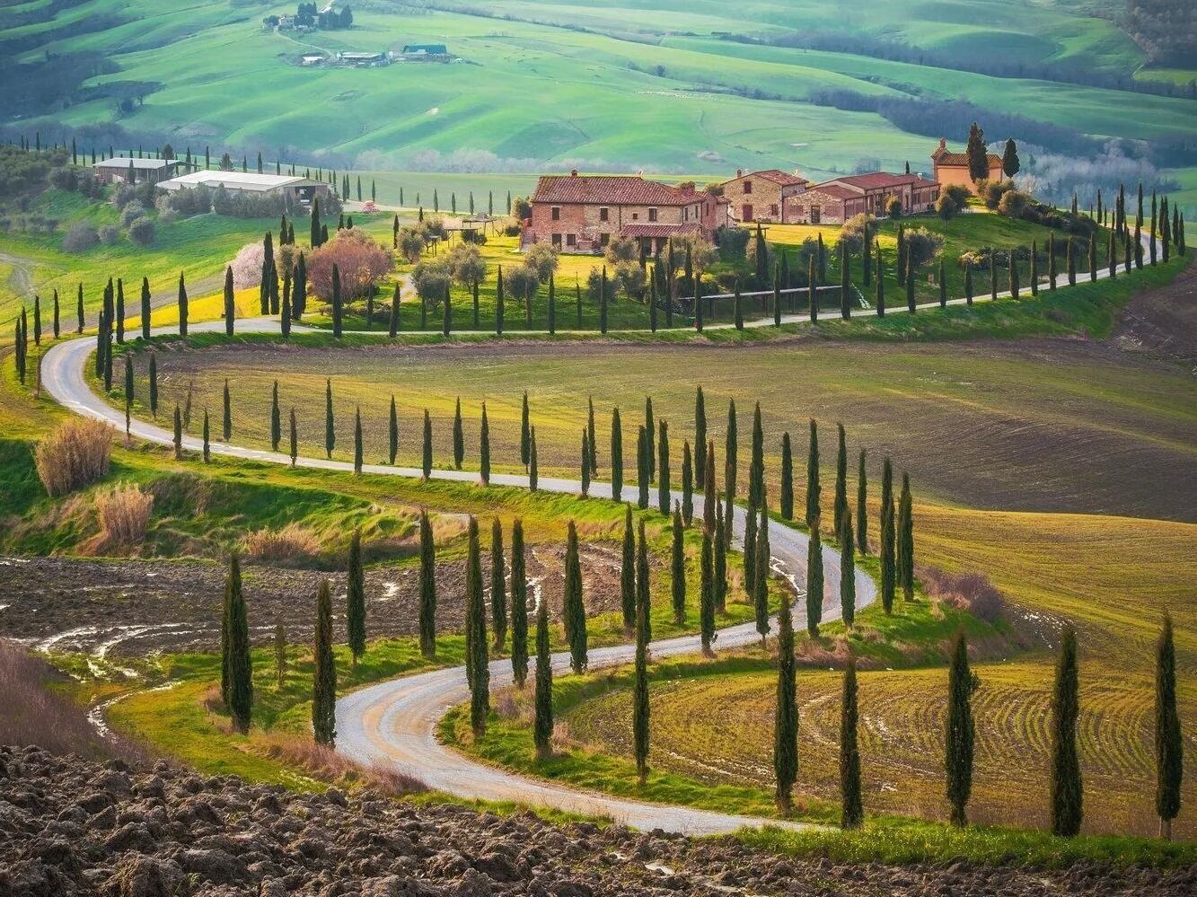 Picture of CHIANTIGIANA ROAD