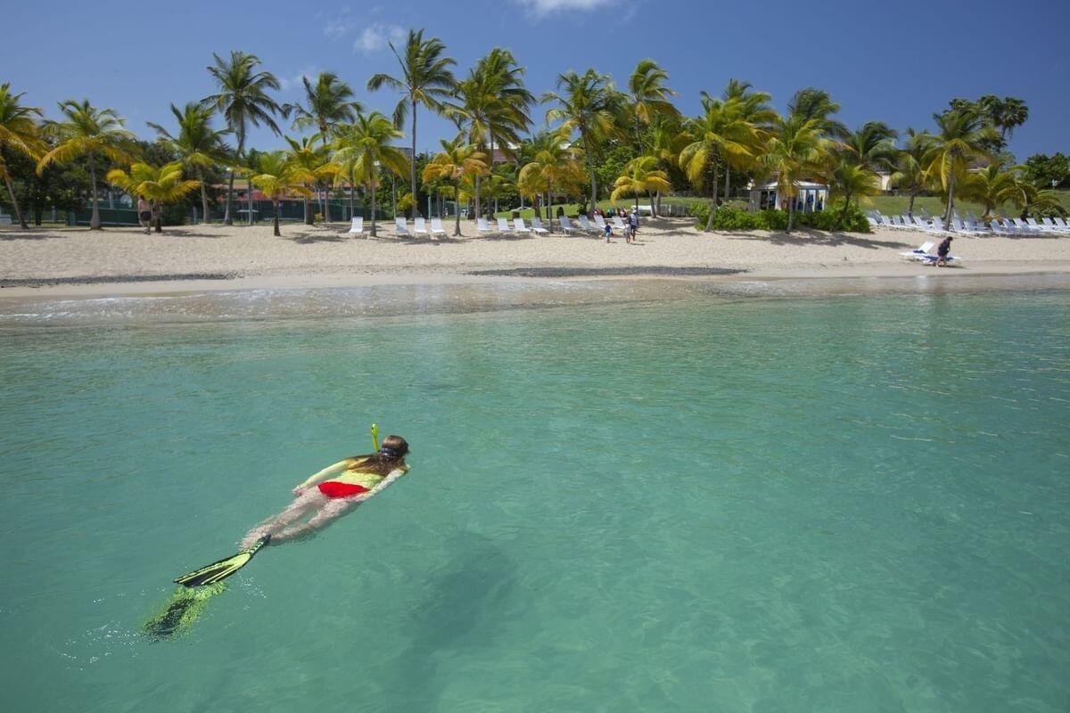 Picture of Snorkling