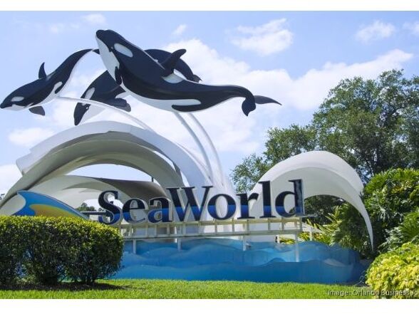 Picture of SeaWorld Orlando