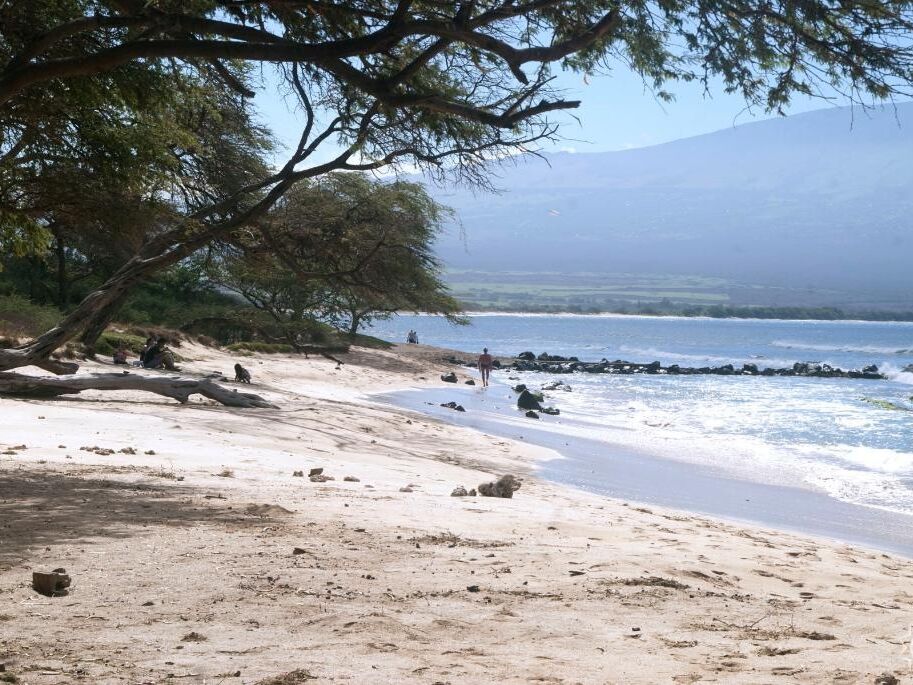 Picture of July 5th | Beach Day at Haycraft Beach Park 