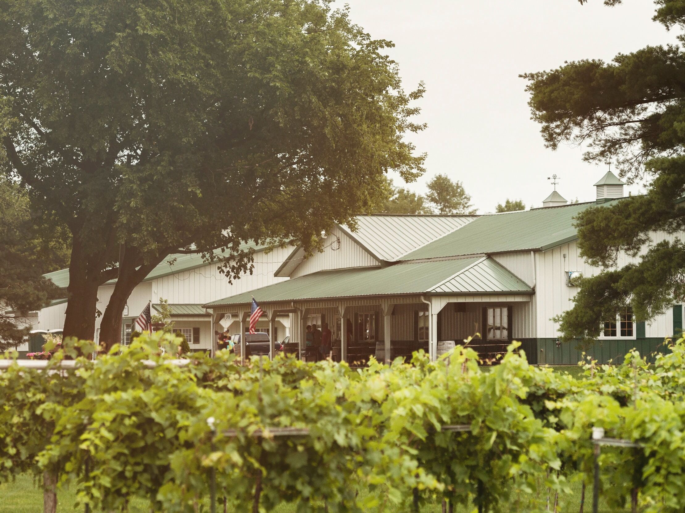 Picture of Carlos Creek Winery