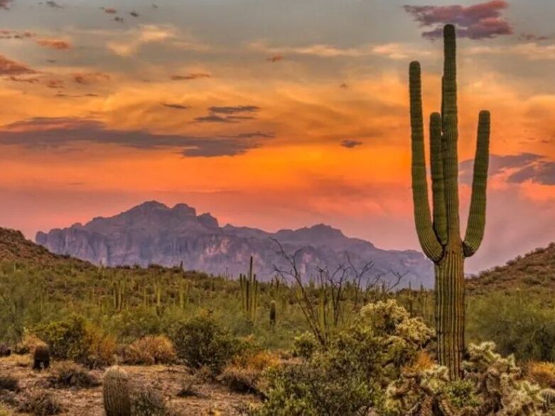 Picture of Hiking