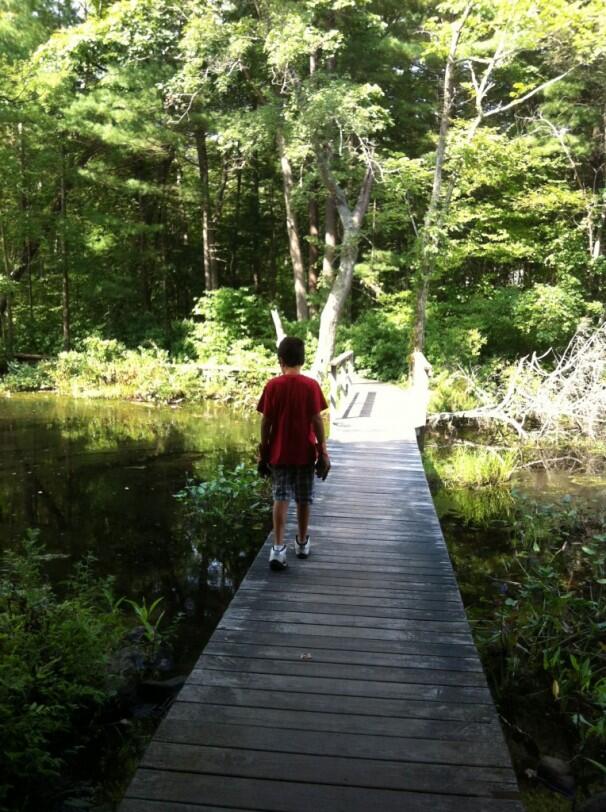Picture of Norris Reservation