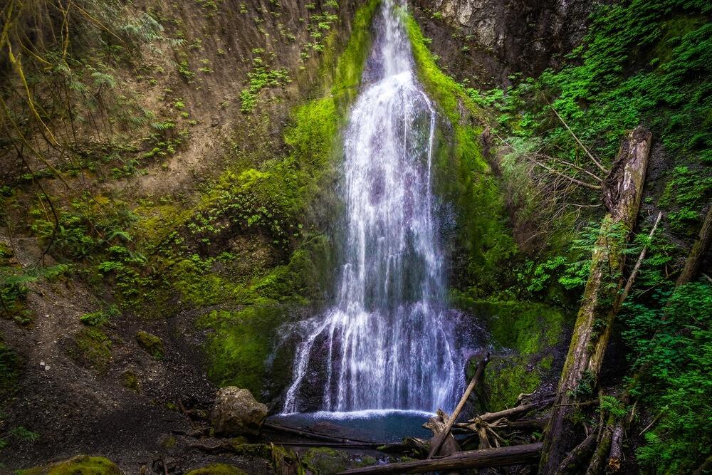 Picture of Marymere Falls Trailhead