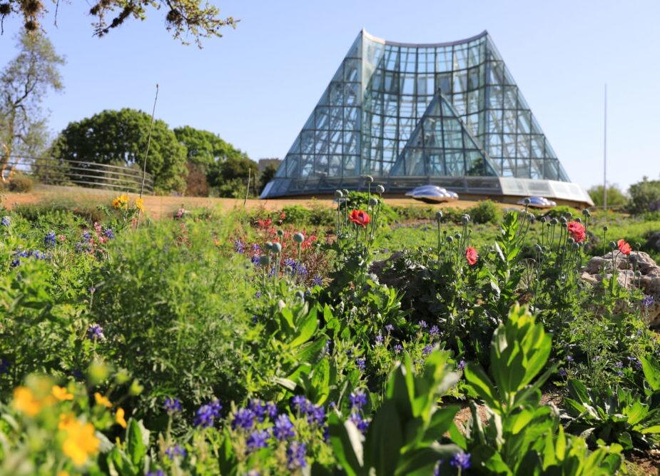 Picture of San Antonio Botanical Gardens