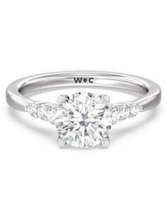 With Clarity Unique Princess, Cushion, Emerald, Radiant, Round, Oval Cut Engagement Ring