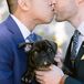Couple Holding Puppy During Wedding Portraits