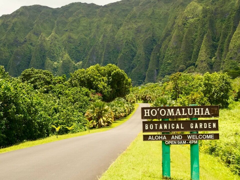 Picture of Hoʻomaluhia Botanical Garden